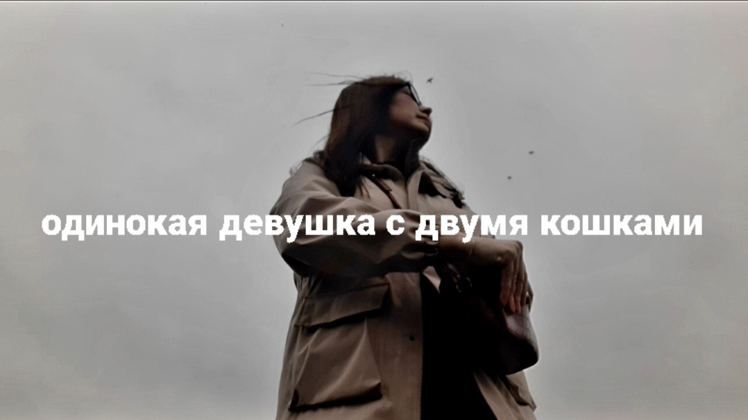 КАК Я ВСТРЕТИЛА БАРСИКА И ЗАБИРАЛА ДИПЛОМ смотреть онлайн