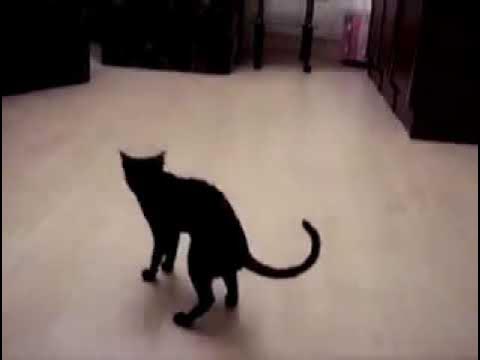 Охота на воздушный шарик смотреть онлайн