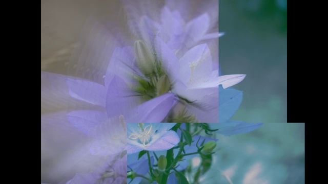 Классическая поэзия