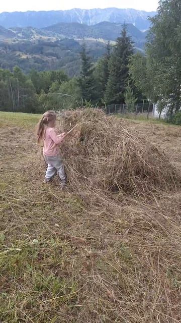 🔴 Într-o lume în care totul se mișcă prea repede....🤗❤️💕🥰 смотреть онлайн