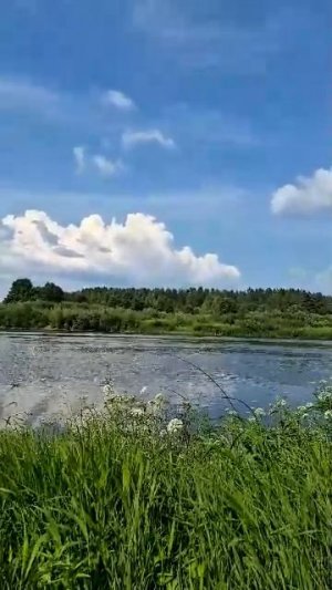 Жаркий солнечный день на реке