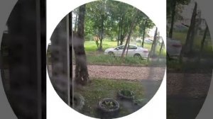 11-07-2026  18+ добро дождь