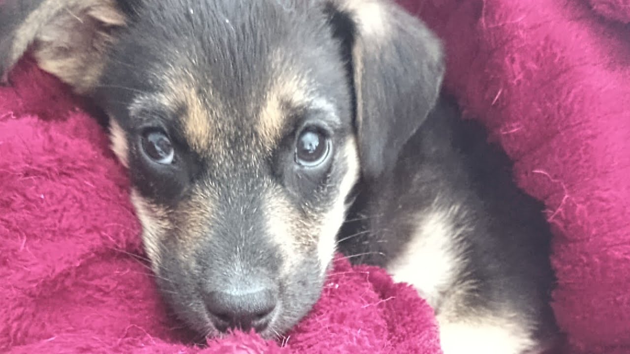 8 и 9. Juni 2024 Переехали в Россию Ремонт в доме смотреть онлайн