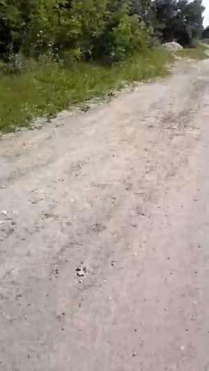 11-07-2026 еду на пруд