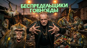 ЗОЛОТАРЕ: Зе👺 команда профессиональных «беспредельщиков»! Револьверы Эрдогана. Трамп «сотрёт» Иран?