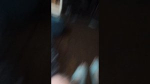 Обзор участка на даче!