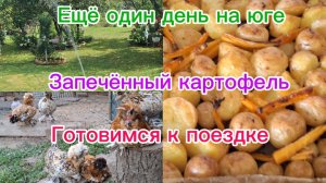 11-07-2026/Переехали из Сибири на юг /Молодой картофель/Урожай морковки/Готовимся к поездке//