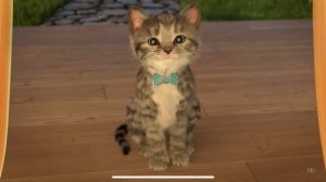 Приключение милого котенка и маленькой кошечки - Веселые игры по уходу за домашними животн