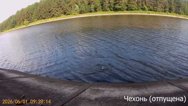 2026.06.01 (8) смотреть онлайн