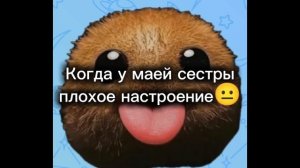 🌺🐸🍄🌈🐢🥝🧋🎀