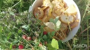 Беру тебя в лес за грибами, ягодами и берёзовыми венечками