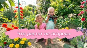 Что растет на огороде?!