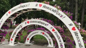 Счастье глаза застит или застилает?