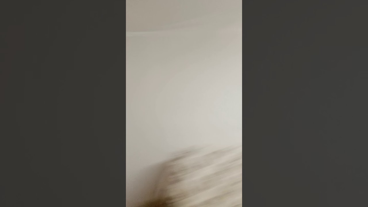 ДРУГ ИСПУГАЛСЯ ДО СМЕРТИ!😂😂 смотреть онлайн