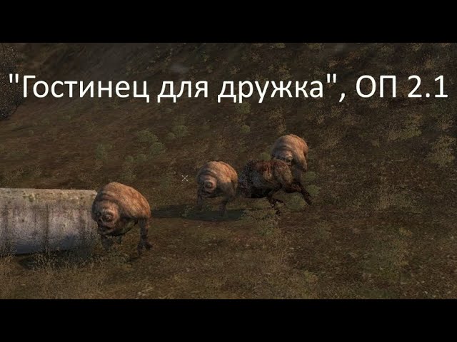 Сталкер оп 2.1, гостинец для дружка смотреть онлайн