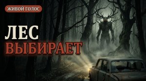 Лес спас нас. И забрал попутчика себе