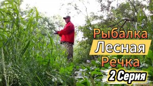 РЫБАЛКА В ШТОРМ РЫБА КЛЮЁТ  УТРОМ В ОБЕД ВЕЧЕРОМ ДОНКА ПОПЛАВОК КАЖДЫЙ ЗАБРОС РЫБА