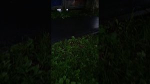 Катаюсь на невидимой качели!!!!