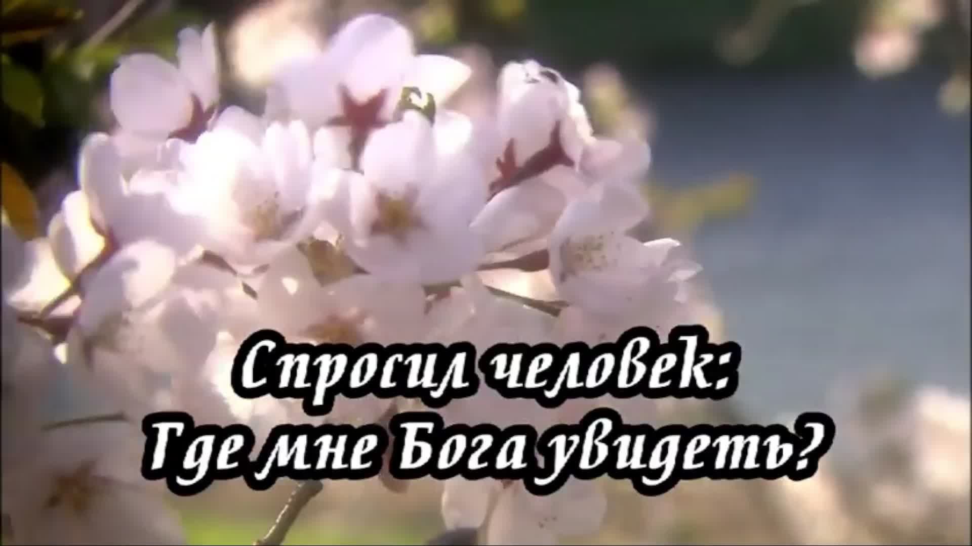 Библия онлайн | 1-я Царств, 25 глава смотреть онлайн