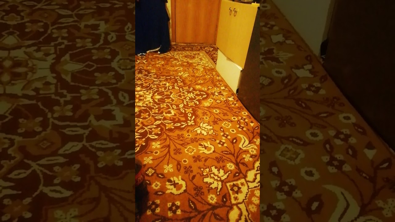 Защитное стекло хуйня.... смотреть онлайн