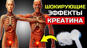 10 РЕАКЦИЙ ВАШЕГО ОРГАНИЗМА ПРИ ЕЖЕДНЕВНОМ ПРИЁМЕ 5 ГРАММОВ КРЕАТИНА