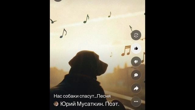 Песня о том, что собаки нас могут спасти… смотреть онлайн