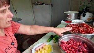 ОБОБРАЛИ. ОДНИМ ДЕЛОМ МЕНЬШЕ. ПРО ЯГОДУ, ОБЕД И ДЕЛА ЖИТЕЙСКИЕ