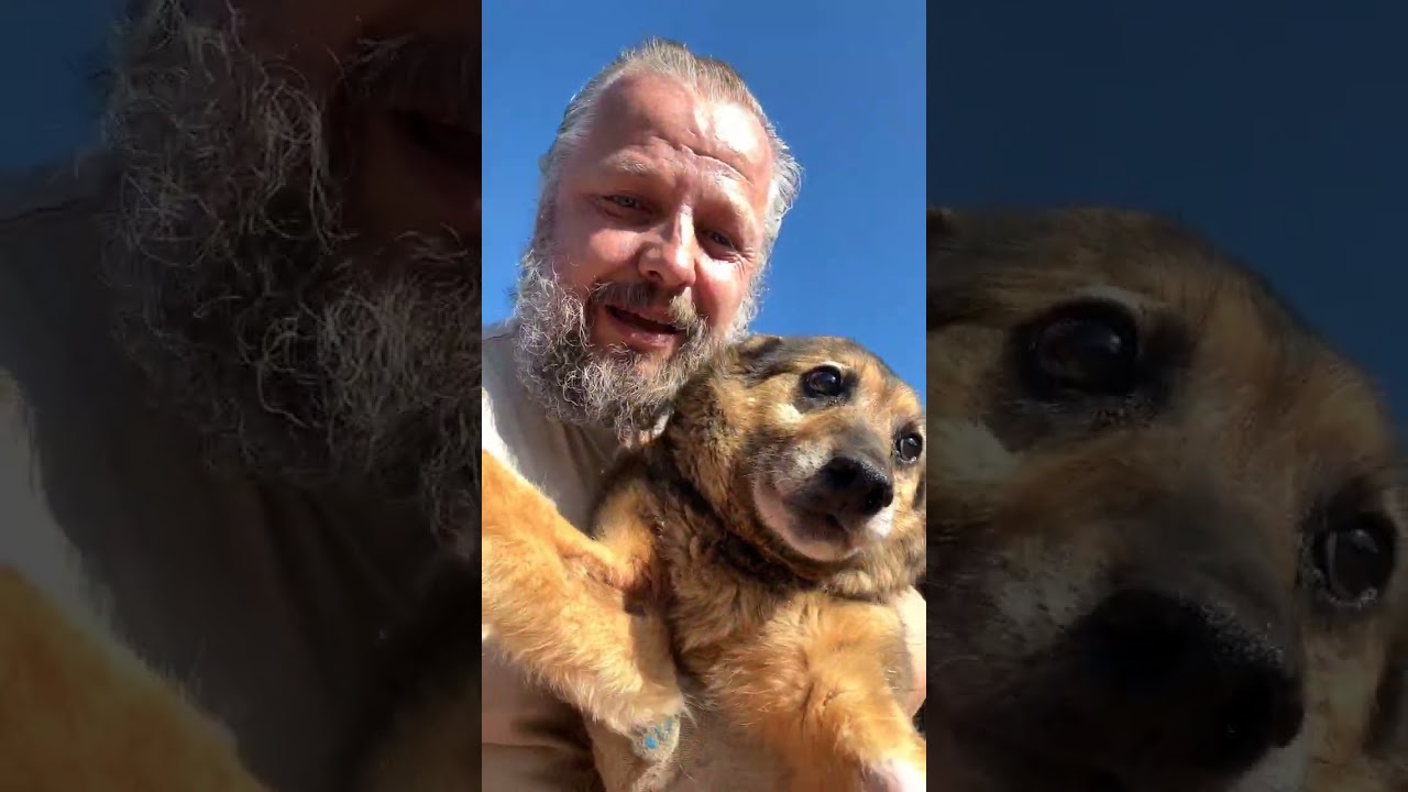 Шустрая девчонка 😊 смотреть онлайн