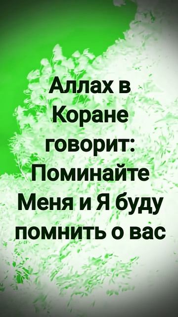 #Аллах в Коранп говорит, споминайте обо Мне, и Я буду помнить о вас #shortsvideos #мотивация смотреть онлайн