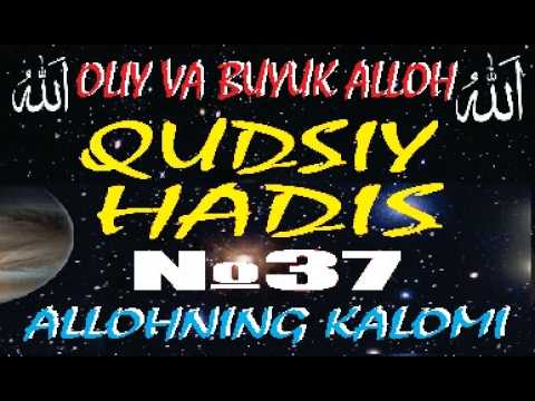 Qudsiy hadis №37 (на узбекском языке) смотреть онлайн
