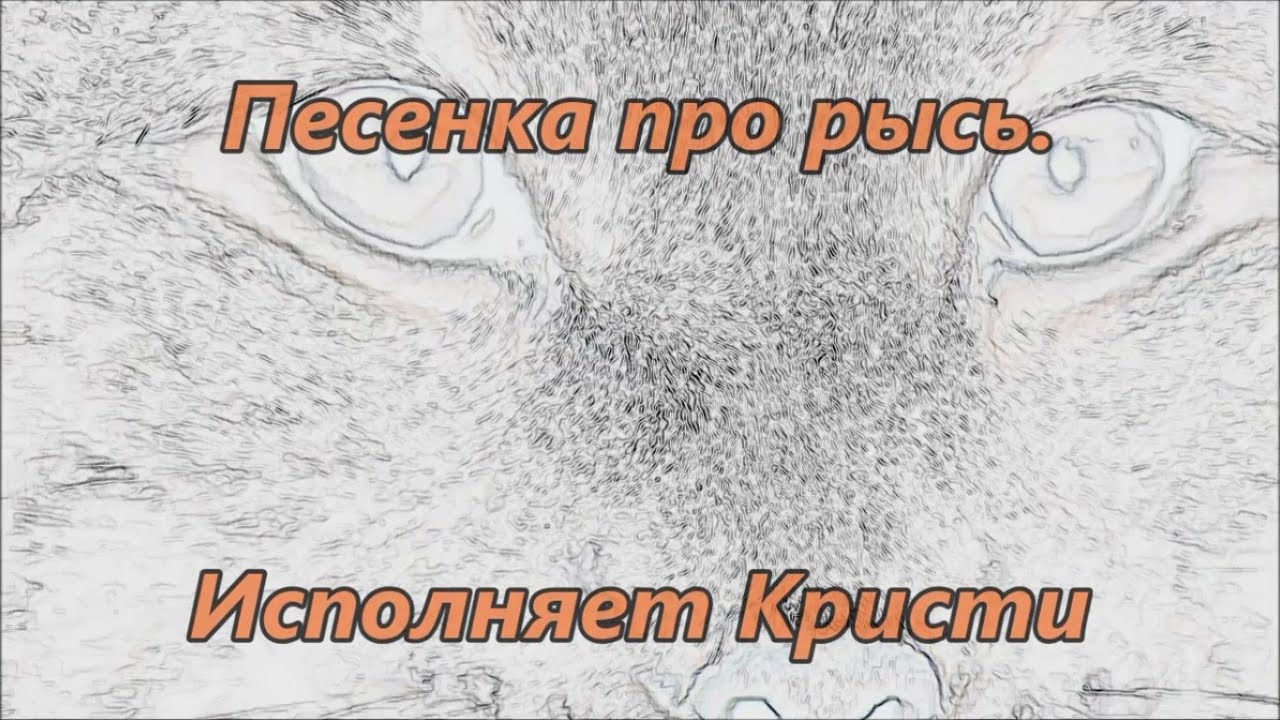Песенка про рысь смотреть онлайн