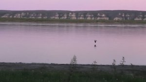 Авантюрное путешествие к Синским столбам..Доедем?1 серия Нерюнгри-Тит-Ары.Якутия