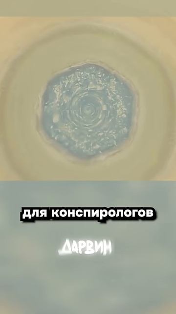 Ни дня без теорий заговора смотреть онлайн