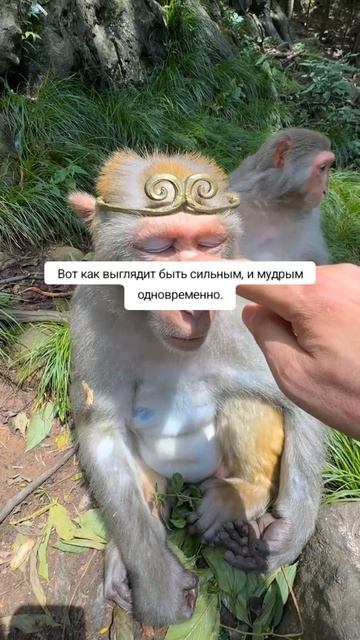 11-07-2026 смотреть онлайн