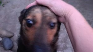 Приехали домой с магазина
