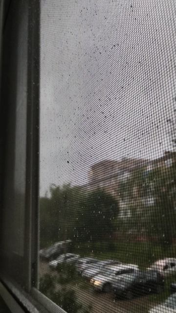 PXL_20260710_184311061