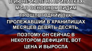 В июне-июле на прилавках мы в основном видим прошлогодний лук, пролежавший в хранилищах месяцев де
