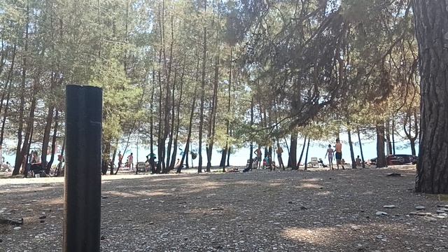 Абхазия Пицунда Лдзаа/дельфины/парк/отзыв о еде/экскурсии/море и пончики смотреть онлайн