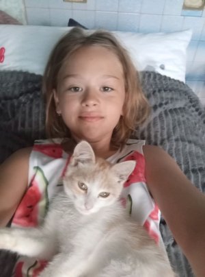 котик