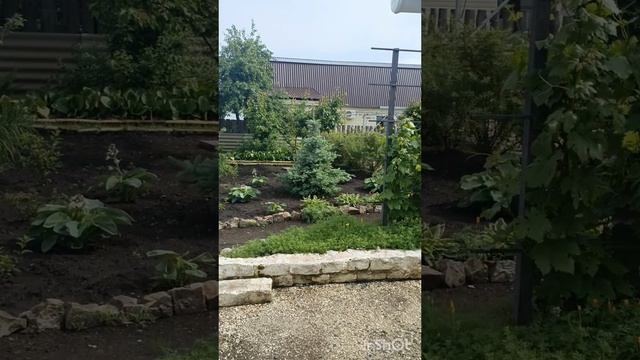 1000106123.mp4 смотреть онлайн