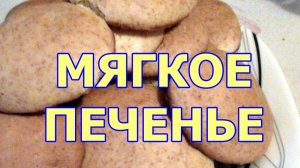 Мягкое печенье на кефире Мега быстрое в приготовлении печенье на скорую руку рецепт