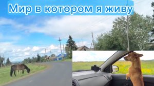 11-07-2026 С утра осмотр владений😅.Продовольственная корзина.Браслеты не золотые...