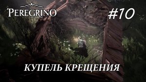 Peregrino ПРОХОЖДЕНИЕ#10 Купель Крещения