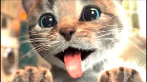 Приключение милого котенка и маленькой кошечки - Веселые игры по уходу за домашними животн