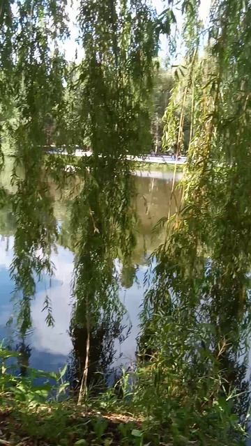 просто тишина и красота реки