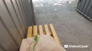 1000189224.mp4Что нынче по чем,обзор цен🔥