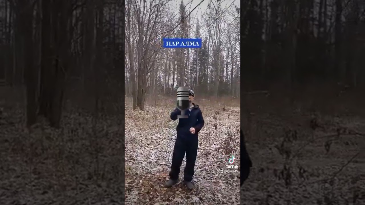 Пар алма