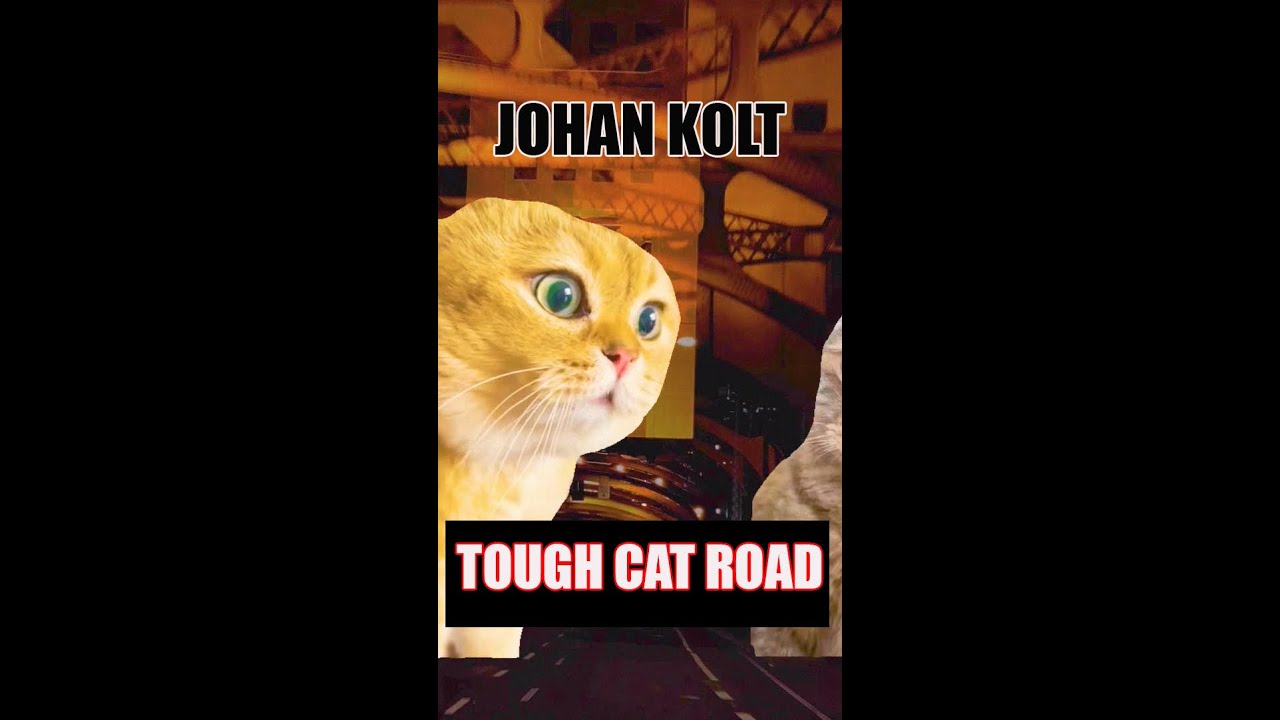 Johan Kolt - Tought Cat Road [Phonk Beat/Song - Sad Meme Cats Song] #cats #коты #phonk #фонк смотреть онлайн