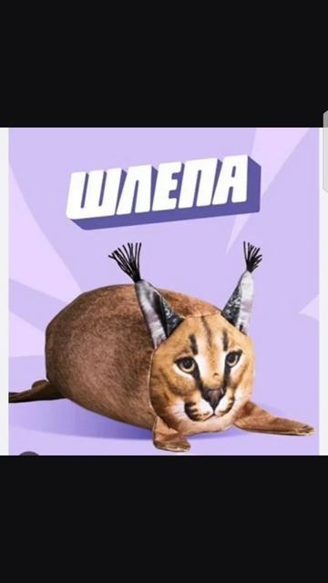 Шлёпа издал указ