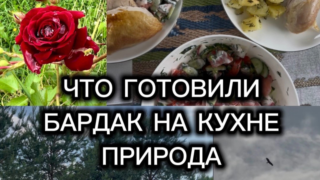 Один день из жизни. Что готовили. Бардак на кухне. Природа смотреть онлайн